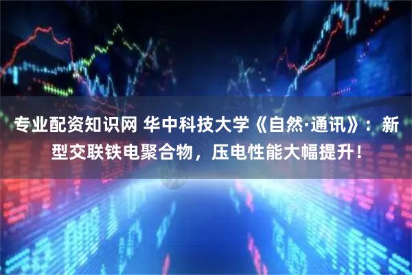 专业配资知识网 华中科技大学《自然·通讯》：新型交联铁电聚合物，压电性能大幅提升！