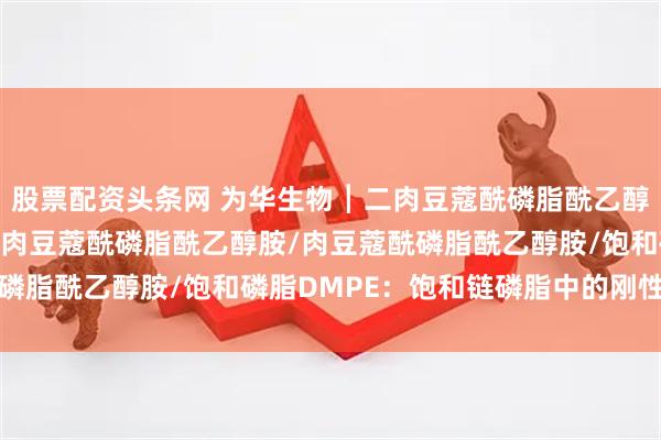股票配资头条网 为华生物┃二肉豆蔻酰磷脂酰乙醇胺DMPE/DMPE/二肉豆蔻酰磷脂酰乙醇胺/肉豆蔻酰磷脂酰乙醇胺/饱和磷脂DMPE：饱和链磷脂中的刚性结构代表
